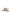 Valentino Garavani VLogo Signature Leather Thong Sandals - Leather Brown