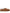 UGG Australia Tamsan II Slippers - Beige