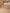 UGG Australia Tazz II Slippers - Beige