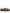 UGG Australia Tasman Baxter Slippers - Beige