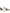 AUTRY Medialist Low Sneakers Blue