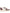 AUTRY Medialist Low Sneakers Bordeaux