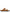 Birkenstock Arizona Shearling Sandals