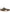 Maison Margiela Low Leather Sneakers - Green