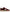 Golden Goose Ball Star Leather Sneakers - Bordeaux