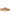UGG Australia Tasman II Slippers - Beige