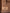 UGG Australia Classic Ultra Mini Boots - Brown