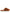 Valentino Garavani Sandals Leather Brown