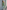 Gianine NATALIE SAGE GREEN Activewear Crop Top