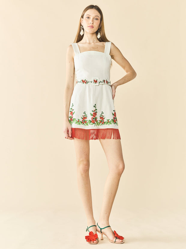 Eddy Sarah Bird Mini Dress X Larsen McDowell