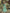 Eddy Valeria Dress