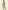 Eddy Marina Dress
