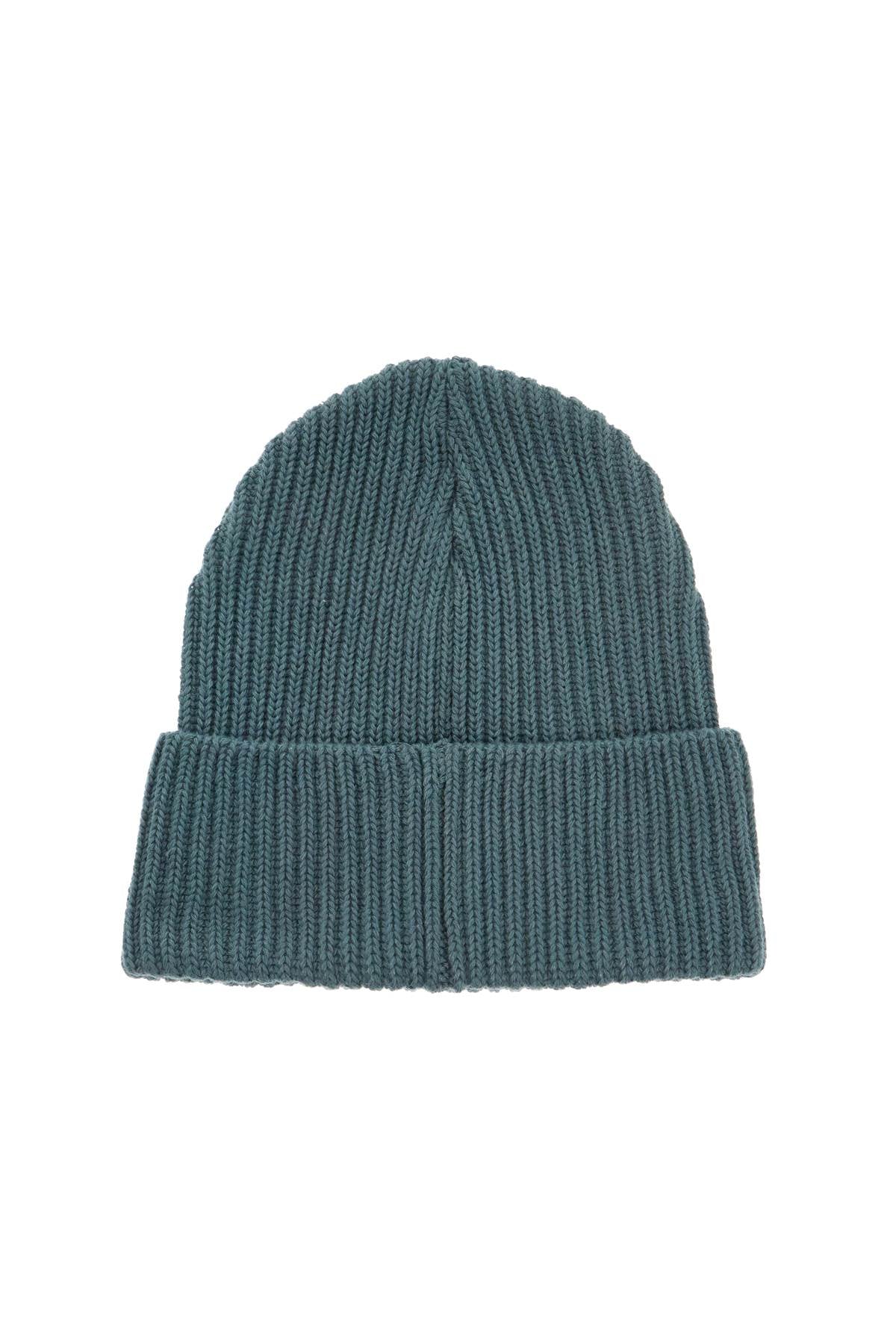 PATAGONIA Fisherman's Rolled Beanie Hat