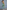 Gianine NATALIE SAGE GREEN Activewear Crop Top