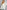 2a66b9ae-cc5c-4c28-8d14-48a9993907fa-Max-Origin