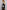 31f17754-8e7a-4814-b312-fd55d9dc7c35-Max-Origin