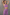 Gianine CATALINA Lavendar Activewear Crop Top