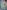 Gianine NATALIE SAGE GREEN Activewear Crop Top