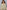 3c30f8a5-ad0c-43ec-abc1-f55964690416-Max-Origin