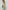3e910868-5ffa-4145-8e6b-082a847c24af-Max-Origin