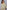 3eb12890-b902-4952-8907-15e0f5459f55-Max-Origin