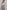 42b72e29-a4a9-4562-b831-773839bf6341-Max-Origin