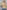 49665426-86b6-4039-b825-d7adee8a9c11-Max-Origin