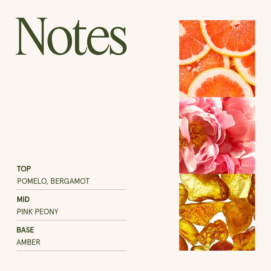 LA JOLIE MUSE Maelyn - Citrine & Pink Peony 6oz Candle