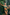 Gianine BIANCA GREEN SHINE Bikini Top