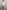 539468cf-cc29-4cd2-8d4d-e7c64477d48b-Max-Origin