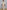 54f40648-beb4-451f-a3e7-0369f992e460-Max-Origin