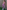 Gianine CATALINA Lavendar Activewear Crop Top