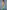 Gianine NATALIE SAGE GREEN Activewear Crop Top