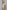 66060115-2709-4d89-8024-064a270ddaf3-Max-Origin