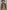6612c370-5bf5-4a20-b736-17c8b1491ed6-Max-Origin