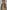 662bd8af-21ad-47e4-b7c9-8e8ba1feaea6-Max-Origin