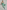 Gianine NATALIE SAGE GREEN Activewear Crop Top