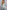 76666775-2fea-44c3-94e8-9f1524c45e65-Max-Origin