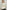89d6b638-aa98-4e3e-acba-c77c45e16f2b-Max-Origin