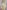 92410535-dc5c-4c66-bb92-f315ce1211b5-Max-Origin