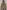 95b1f78c-599a-4677-8aa2-9f1cf971bb13-Max-Origin