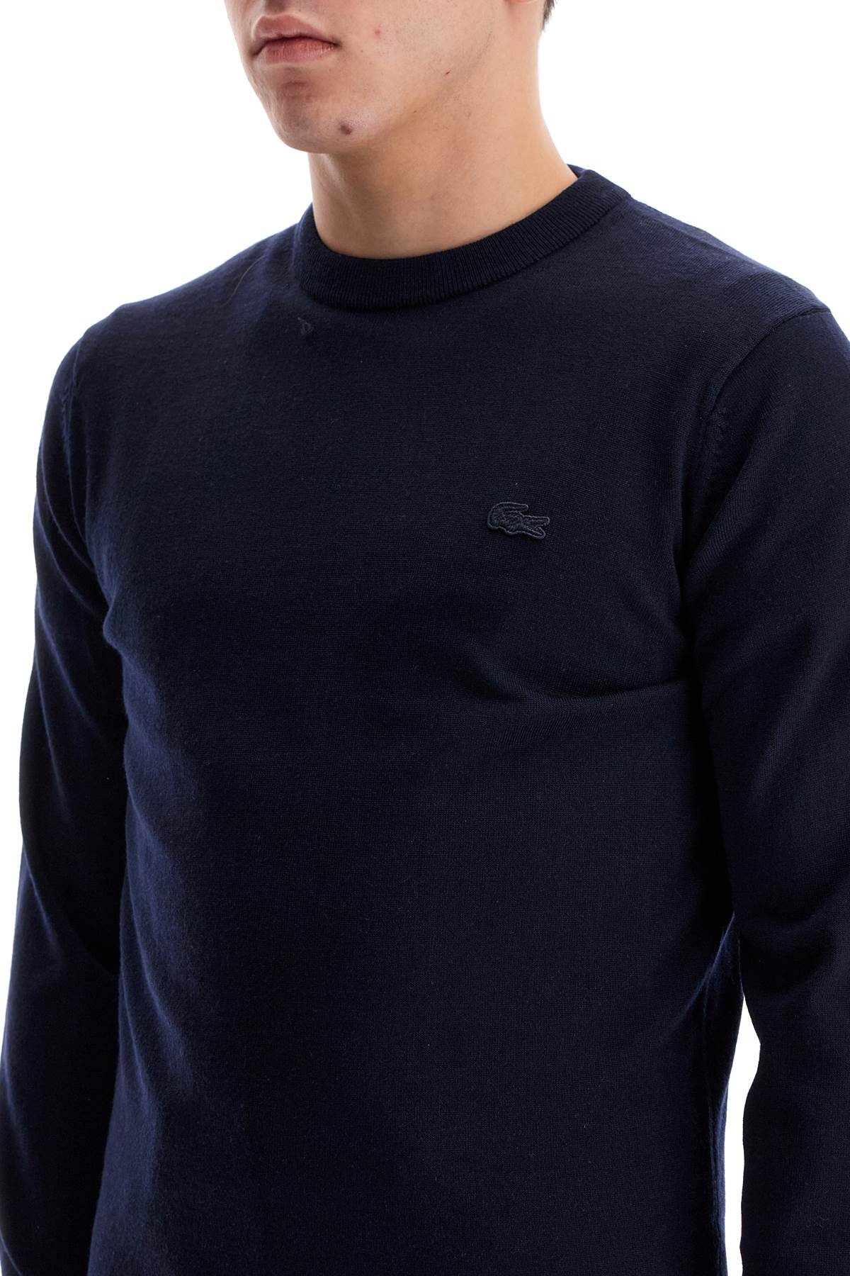 Lacoste Wool Crewneck Pullover Sweater