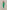 Astoria BALANCE Crossover Sleeve Crop - Palm Green