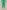 Astoria BALANCE Crossover Sleeve Crop - Palm Green
