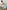 Astoria CONTOUR Ribbed Seamless Sports Crop - Seafoam