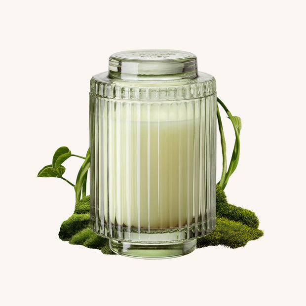 LA JOLIE MUSE Amélie– Kyoto Vine & Moss Candle