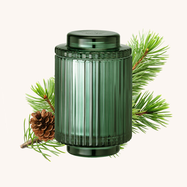 LA JOLIE MUSE Amélie – Starlit Golden Fir 11oz Candle