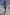 Cygnus Bikini Swimsuit In Sunset