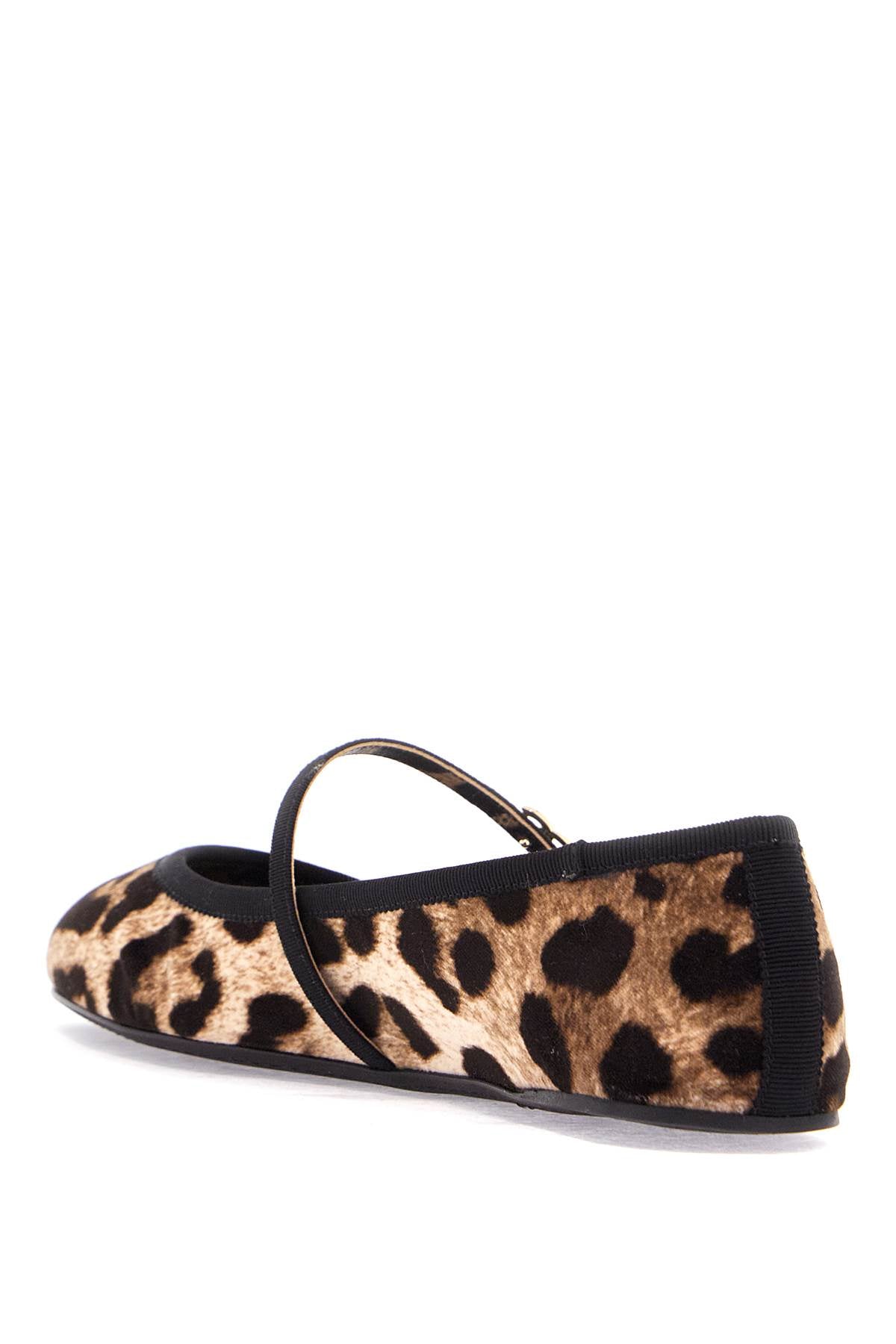 Dolce & Gabbana Leopard Print Ballet Flats In Cotton And Viscose