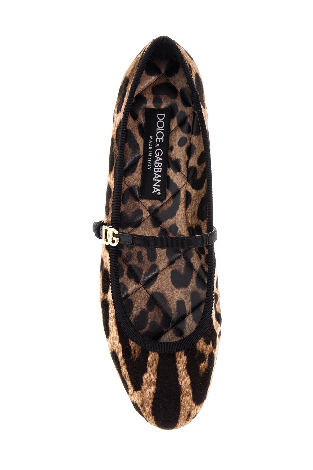 Dolce & Gabbana Leopard Print Ballet Flats In Cotton And Viscose